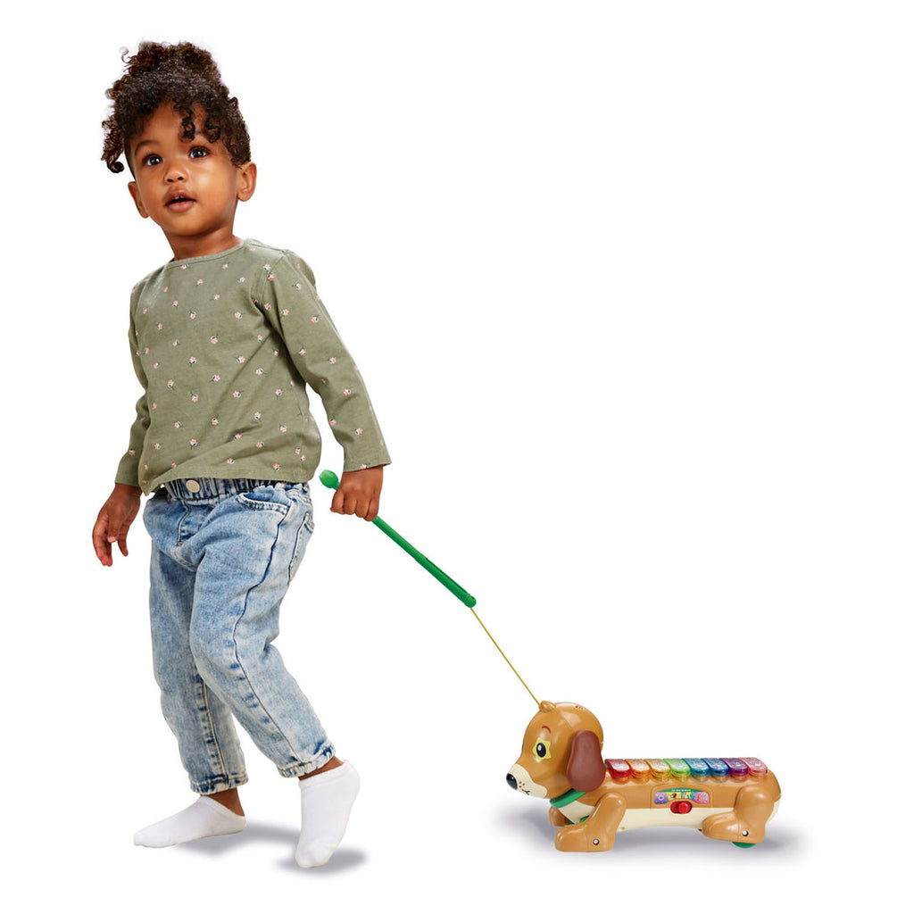Vtech timmie teckel xylofoon met licht en geluid