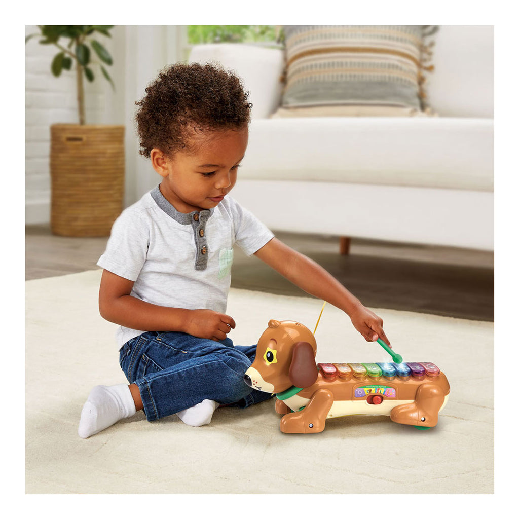Vtech timmie teckel xylofoon met licht en geluid