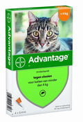 Elanco Bayer Vorteil Katze