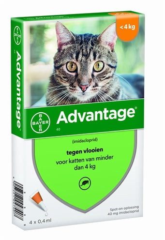 Elanco Bayer Vorteil Katze