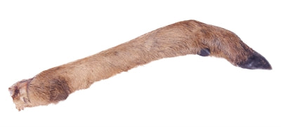 Petsnack Hirschbein mit Haaren