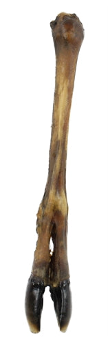Haustier-Snack: Rehbein