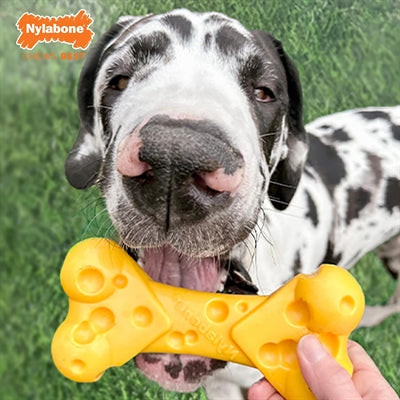 Nylabone Dura Chew Käseknochen