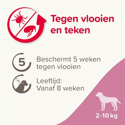 Beaphar Fiprotec für Hunde gegen Zecken und Flöhe