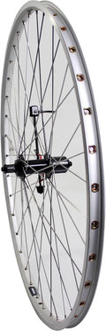 Roland Achterwiel 28 uitval cass 7v ZAC19 zilver RVS spk