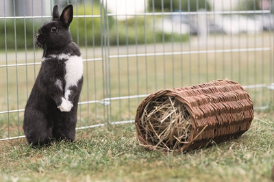 Trixie Weidentunnelkaninchen
