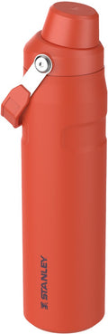 Stanley aerolight iceflow™ waterfles fast flow 0.6l - houdt 10 uur koud - lichtgewicht geïsoleerde drinkfles - vaatwasmachinebestendig - lekvrij en sneldraaiend deksel - bpa-vrij - tigerlily plum