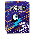 Identitätsspiele Squla Flash Quiz Group 1/2/3