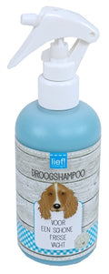 Super! Universelles Trockenshampoo