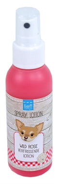 Süß! Wildrosen-Lotion