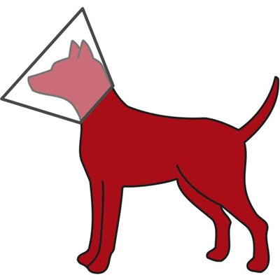 Trixie-Schutzkragen mit Klettverschluss, transparentem Kunststoff
