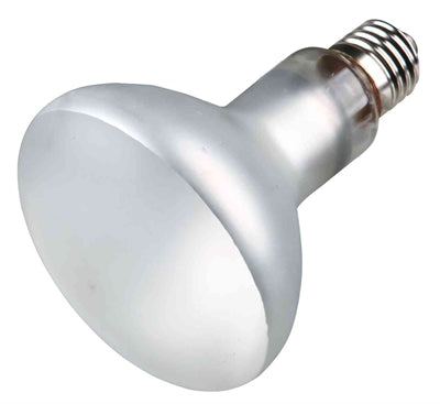 Trixie Reptilienland Prosun Mixed D3 UV-B Lampe selbststartend