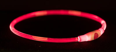 Trixie Leuchthalsband mit USB-Taschenlampe, wiederaufladbar, TPU, rot