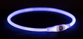 Trixie lichtgevende halsband usb flash light oplaadbaar tpu blauw