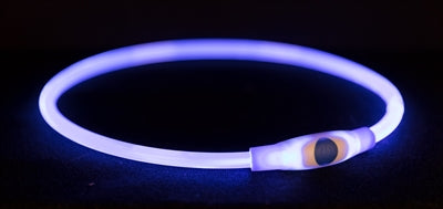 Trixie Leuchthalsband mit USB-Taschenlampe, wiederaufladbar, TPU, blau