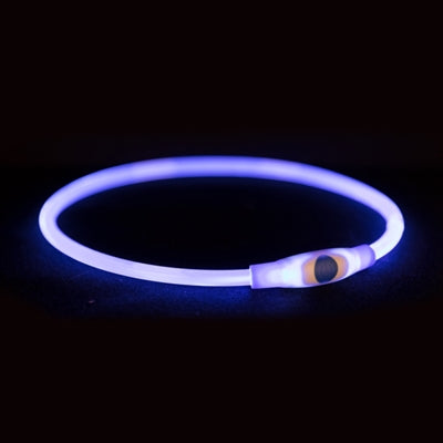 Trixie Leuchthalsband mit USB-Taschenlampe, wiederaufladbar, TPU-Mehrzweck