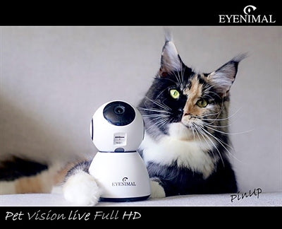 Eyenimal Haustier-Live-HD-Kamera mit Geräuscherkennung