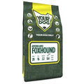 YourDog Amerikanischer Foxhound Junge