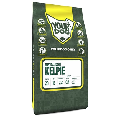 Yourdog Australian Kelpie Welpe