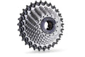 Miche Kassette 12V 16-29 Campagnolo