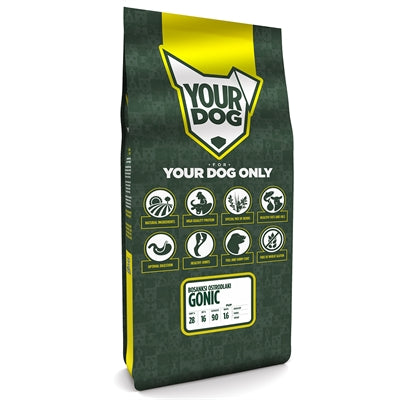 Yourdog Bosanksi ostrodlaki gonicer Welpe
