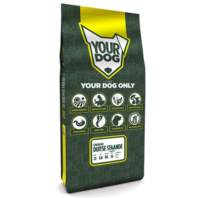 Yourdog Deutsch Langhaar Senior
