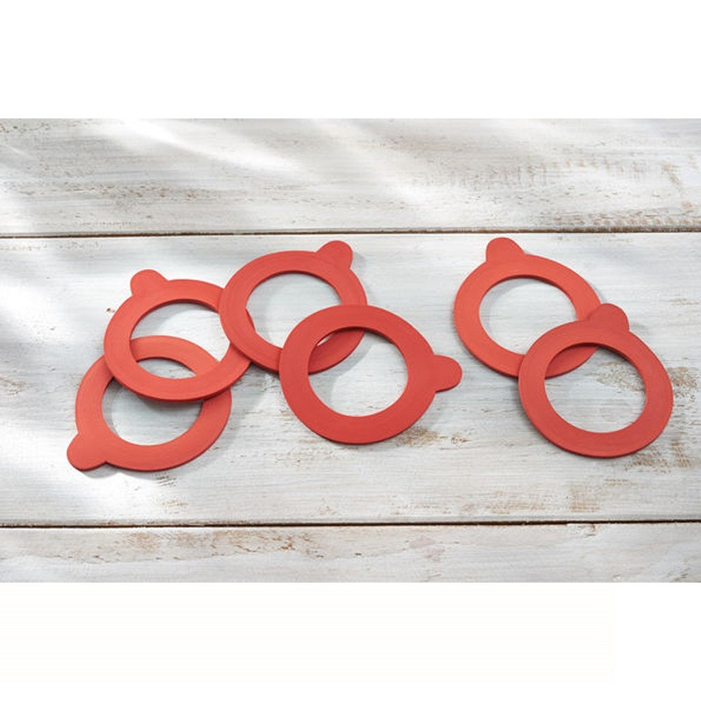 Leifheit 3214 Gummidichtungsringe 43x71 mm 6 Stück