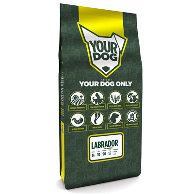Yourdog Labrador Erwachsene