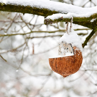 Best for birds gevulde kokosnoot 3 4 aan touw