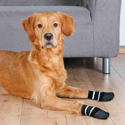 Trixie Hundesocken, rutschfest mit rundum Gummibeschichtung, schwarz
