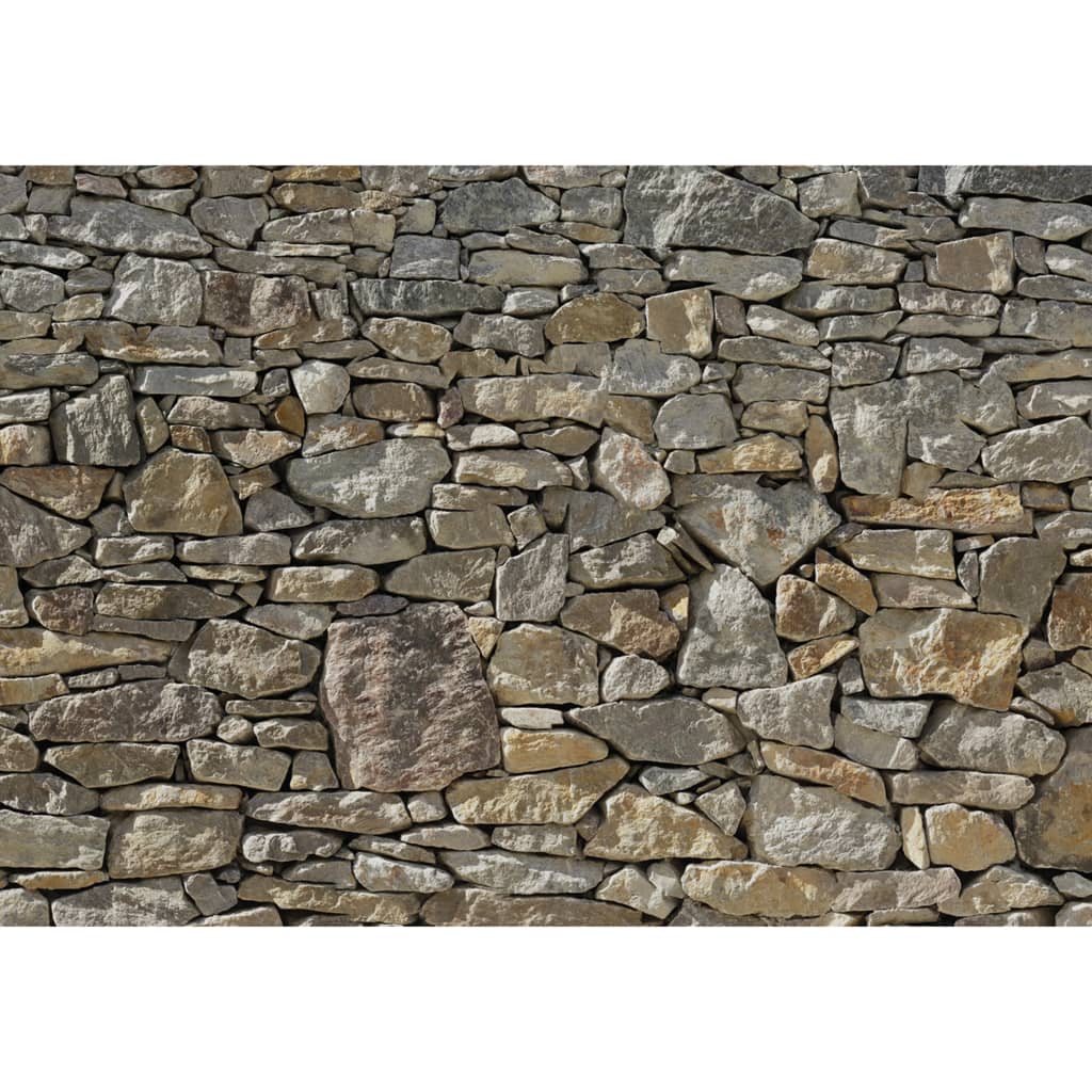 Komar Fototapete Steinwand 368x254 cm 8-727