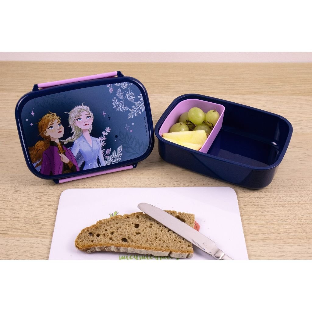 Undercover Lunch Box Disney Frozen