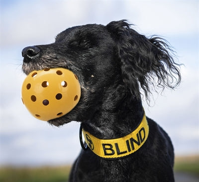 Trixie Naturkautschuk-Lochball mit Glöckchen für blinde oder behinderte Hunde