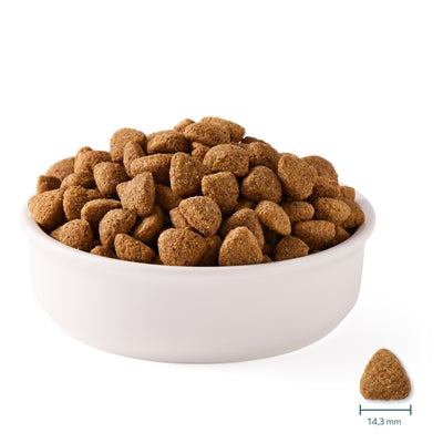 Yarrah Hund Bio-Stücke von Vega Baobab Kokosöl