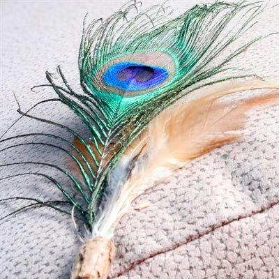 Croci Euphoria Cat Rod Matatabi Peacock Feather