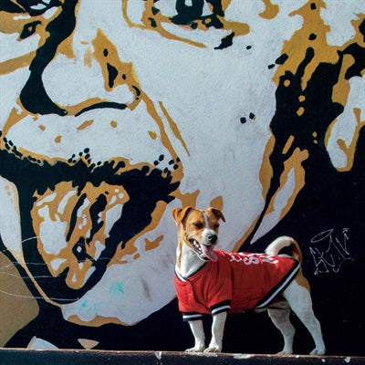 Croci Hundejacke Social Media ist scheiße