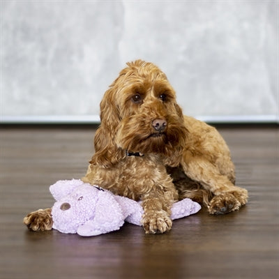 Aromadog legt ruhig Hund Neder
