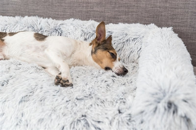 Trixie -Sofa Bett Harvey Möbelschutz Eckig Weiß Schwarz