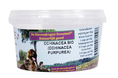 Echinacea-Bio-Kapseln aus der Tierapotheke