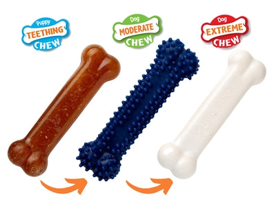 Nylabone Welpenkauartikel Welpen-Starterset Huhn
