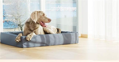 Bia Hundebettbezug aus Kunstleder, grau