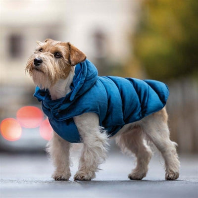 Croci Hundemantel Velveteen Blue auskleidet