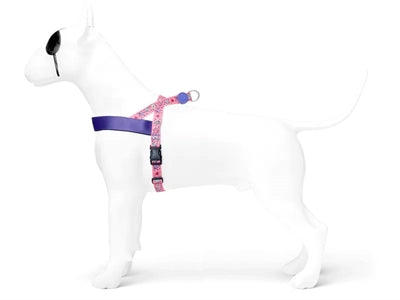 Morso Norwegisches Hundegeschirr recycelt süß twitter pink