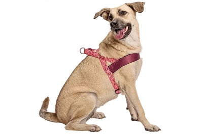 Morso Norwegisches Hundegeschirr aus recyceltem Pink, Think Pink