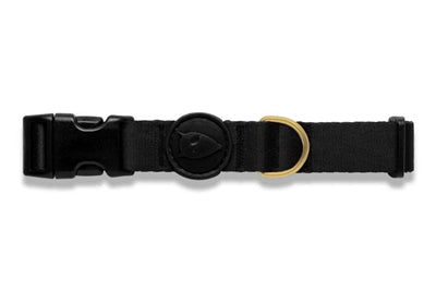 Morso Halsband für Hunde, recyceltes Gold, Kaviar-Gold