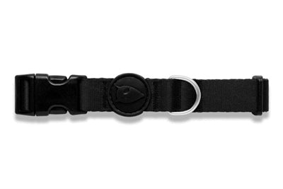 Morso recyceltes, reines schwarzes Hundehalsband