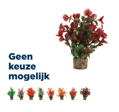 Zolux Ornament Kunststoffpflanze auf Steinspitze verschiedene