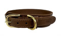 Sazzz Hundehalsband Pioneer Leder Sattelbraun
