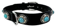 Sazzz Hundehalsband Adventure Stone Leder Schwarz