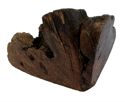 Hund Woodzzz kaufen Wurzel mit Olivenöl